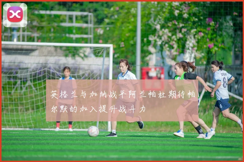 英格兰与加纳战平阿兰帕杜期待帕尔默的加入提升战斗力